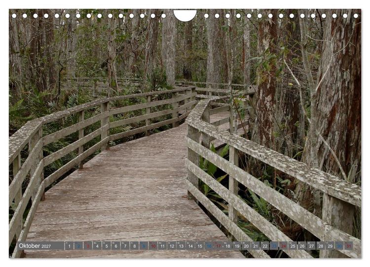 Produktbild: Sunshine State Florida Natur, Tierwelt und Nationalparks (Wandkalender 2027 DIN A4 quer), CALVENDO Monatskalender