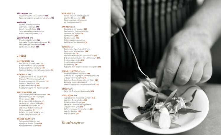 Produktbild: So schmecken Wildpflanzen