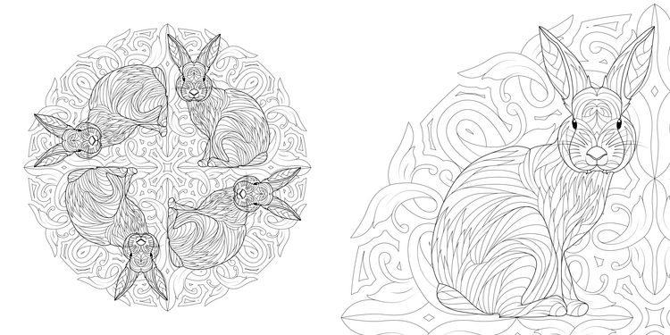 Produktbild: Tier-Mandalas