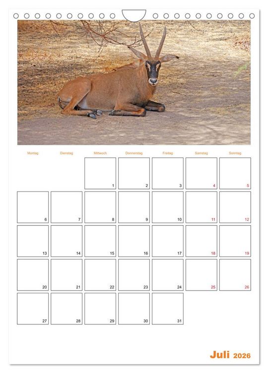 Produktbild: Gambia und Senegal erleben (Wandkalender 2026 DIN A4 hoch), CALVENDO Monatskalender