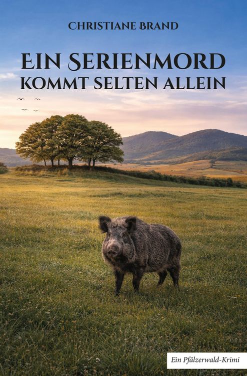 Produktbild: Ein Serienmord kommt selten allein