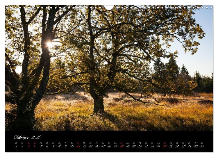 Produktbild: Hochmoor Hohes Venn (Wandkalender 2026 DIN A3 quer), CALVENDO Monatskalender