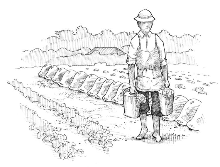 Produktbild: Bio-Gem&uuml;se erfolgreich direktvermarkten