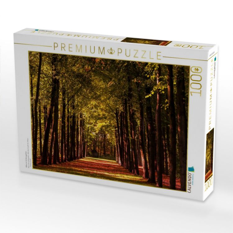 Produktbild: CALVENDO Puzzle Allee im Schlossgarten | 1000 Teile Lege-Gr&ouml;&szlig;e 64x48cm Foto-Puzzle f&uuml;r gl&uuml;ckliche Stunden