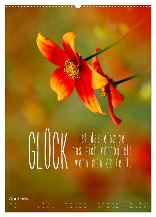 Produktbild: ICH W&Uuml;NSCHE DIR GL&Uuml;CK - 12 Monate mit inspirierenden Gl&uuml;ckszitaten (hochwertiger Premium Wandkalender 2026 DIN A2 hoch), Kunstdruck in Hochglanz