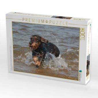 Produktbild: CALVENDO Puzzle Ein Motiv aus dem Kalender Liebenswerte Rabauken Rauhaardackel / CH-Version | 1000 Teile Lege-Gr&ouml;&szlig;e 64x48cm Foto-Puzzle f&uuml;r gl&uuml;ckliche Stunden