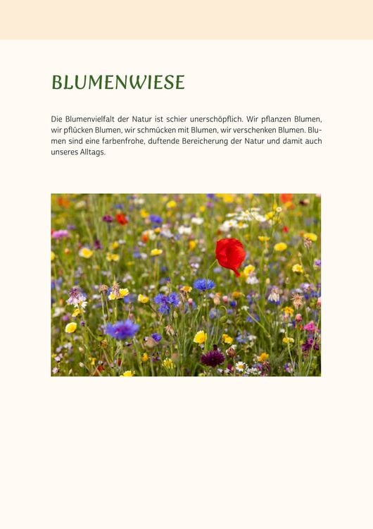 Produktbild: Ged&auml;chtnistraining f&uuml;r Senioren | Gehirnjogging f&uuml;r Naturliebhaber