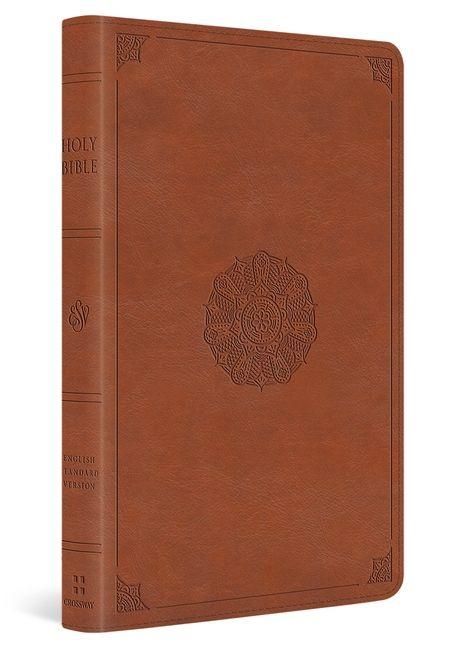 Produktbild: ESV Large Print Thinline Bible