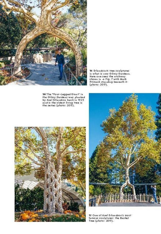 Produktbild: Growing Architecture