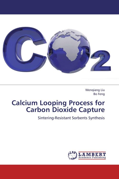 Produktbild: Calcium Looping Process for Carbon Dioxide Capture