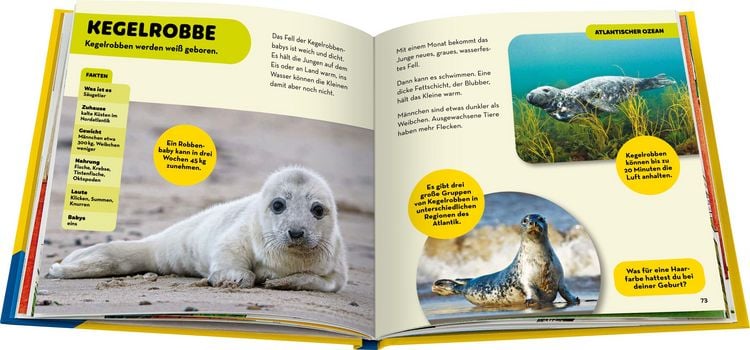 Produktbild: National Geographic Kids - Die tollsten Meerestiere
