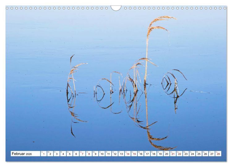 Produktbild: Cotentin &ndash; unser St&uuml;ck vom Paradies (Wandkalender 2026 DIN A3 quer), CALVENDO Monatskalender