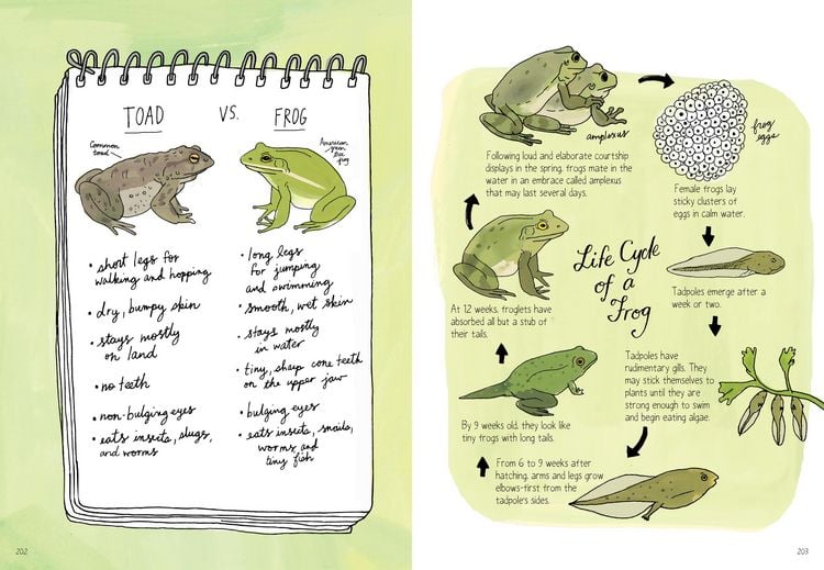 Produktbild: Nature Anatomy