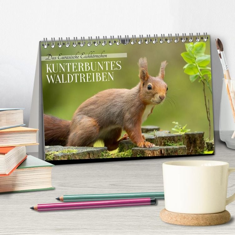 Produktbild: Das Eurasische Eichh&ouml;rnchen - Kunterbuntes Waldtreiben (Tischkalender 2026 DIN A5 quer), CALVENDO Monatskalender