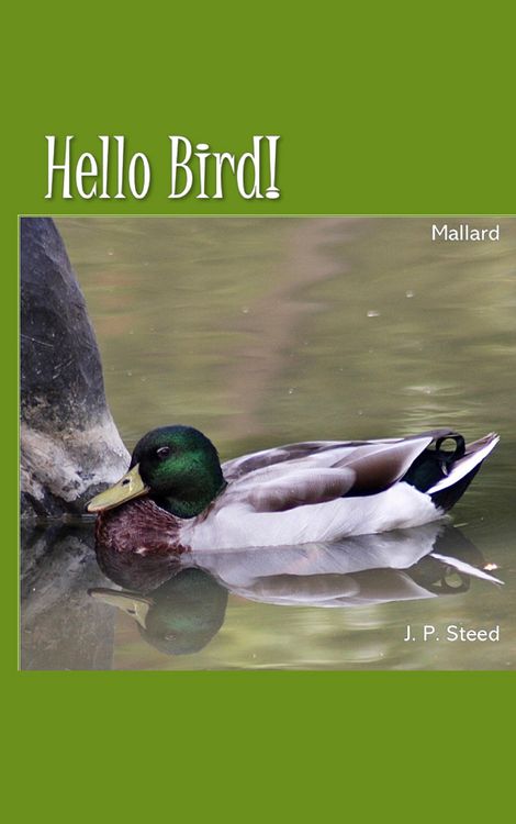 Produktbild: Mallard (Hello Bird!)