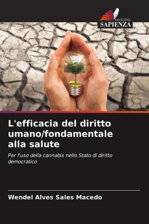 Produktbild: L'efficacia del diritto umano/fondamentale alla salute