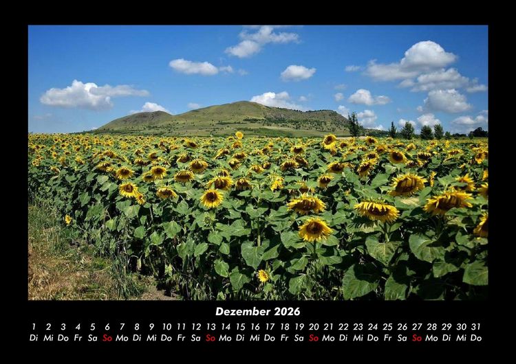 Produktbild: Blumenkalender 2026 Fotokalender DIN A3