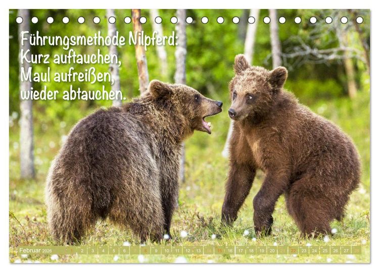 Produktbild: Spa&szlig; mit B&auml;ren: Edition lustige Tiere (Tischkalender 2026 DIN A5 quer), CALVENDO Monatskalender