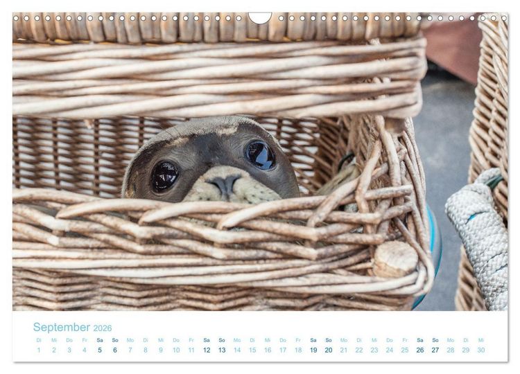 Produktbild: Mehr Nordsee (Wandkalender 2026 DIN A3 quer), CALVENDO Monatskalender