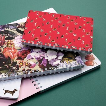 Produktbild: Ringbuch A5 Bello