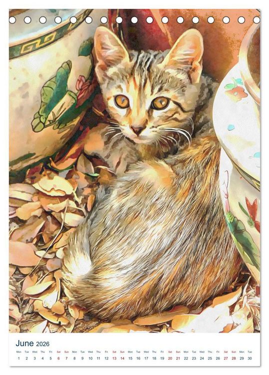 Produktbild: Umbrian Cats (Desk Calendar 2026 DIN A5 portrait), CALVENDO 12 Month DeskCalendar