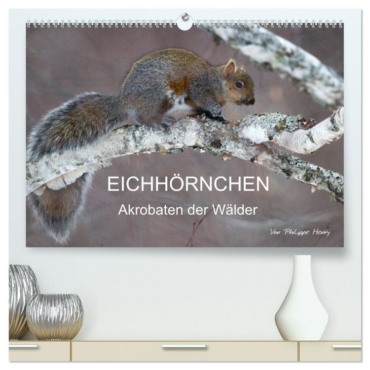 Produktbild: EICHH&Ouml;RNCHEN (hochwertiger Premium Wandkalender 2026 DIN A2 quer), Kunstdruck in Hochglanz