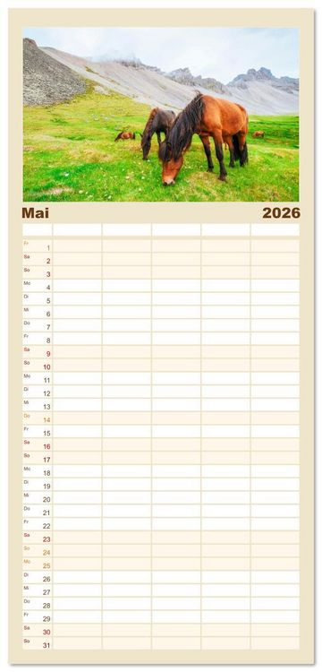 Produktbild: Familienplaner 2026 - Islandpferde - Die s&uuml;&szlig;en Pferde im Norden. mit 5 Spalten (Wandkalender, 21 x 45 cm) CALVENDO