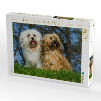 Produktbild: CALVENDO Puzzle Havaneser - R&uuml;de und H&uuml;ndin | 1000 Teile Lege-Gr&ouml;&szlig;e 64x48cm Foto-Puzzle f&uuml;r gl&uuml;ckliche Stunden