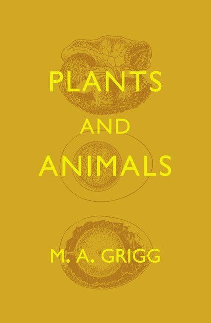 Produktbild: Plants and Animals