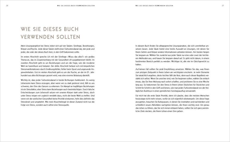 Produktbild: Der Anti-Stress-Plan