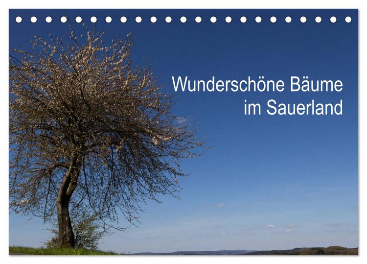 Produktbild: Wundersch&ouml;ne B&auml;ume im Sauerland (Tischkalender 2026 DIN A5 quer), CALVENDO Monatskalender