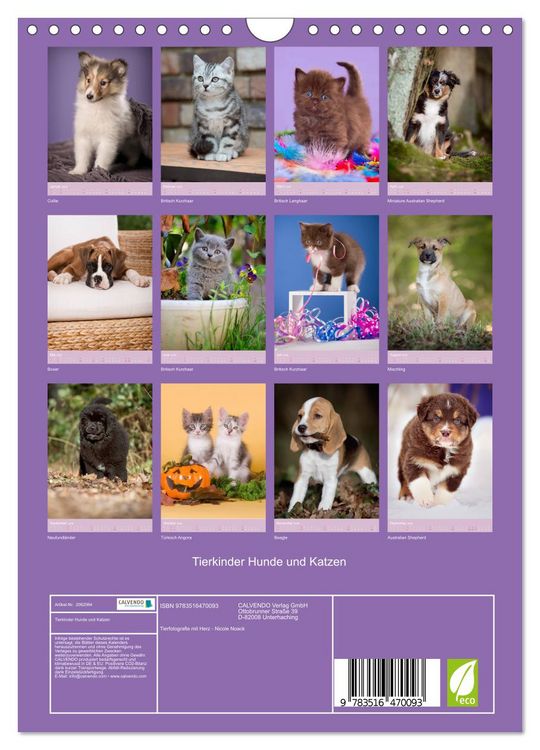 Produktbild: Tierkinder Hunde und Katzen (Wandkalender 2026 DIN A4 hoch), CALVENDO Monatskalender