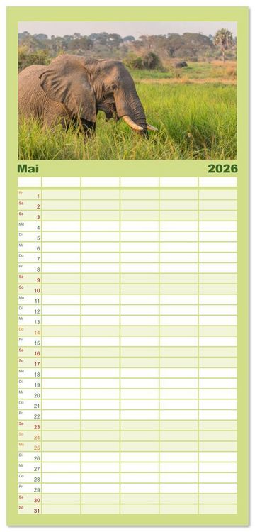 Produktbild: Familienplaner 2026 - Elefanten Begegnungen im &ouml;stlichen und s&uuml;dlichen Afrika mit 5 Spalten (Wandkalender, 21 x 45 cm) CALVENDO