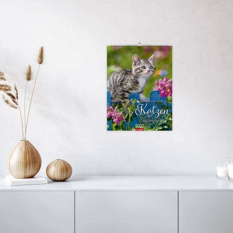 Produktbild: Katzen auf dem Lande Kalender 2027
