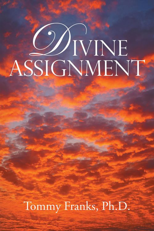 Produktbild: Divine Assignment