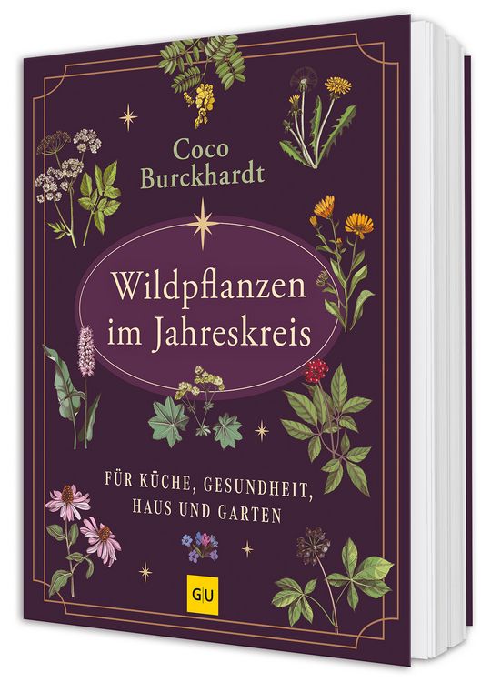 Produktbild: Wildpflanzen im Jahreskreis