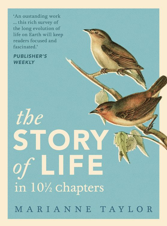 Produktbild: The Story of Life in 10&frac12; Chapters