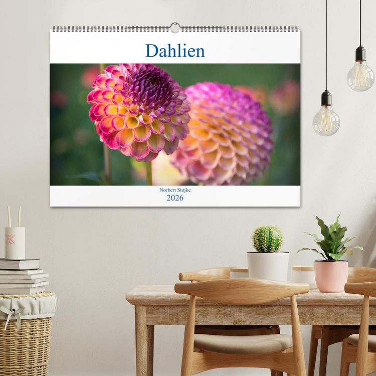 Produktbild: Dahlien - Blumenwunder der Natur (Wandkalender 2026 DIN A2 quer), CALVENDO Monatskalender