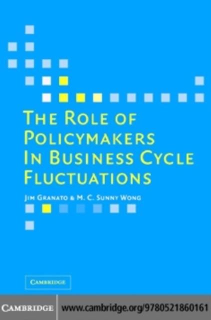 Produktbild: Role of Policymakers in Business Cycle Fluctuations