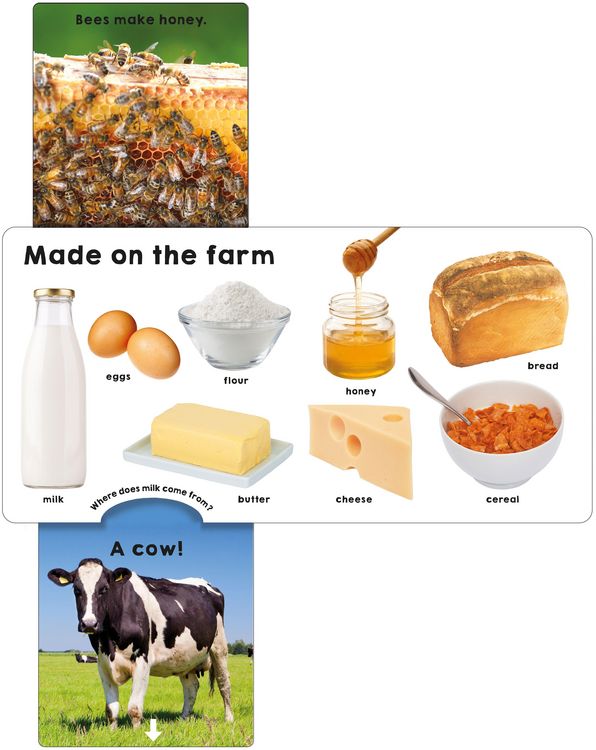 Produktbild: Farm (Slide & Surprise!)