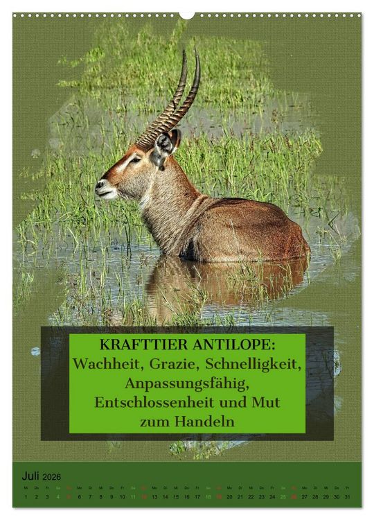 Produktbild: Afrikanische Krafttiere und deren Bedeutung (hochwertiger Premium Wandkalender 2026 DIN A2 hoch), Kunstdruck in Hochglanz