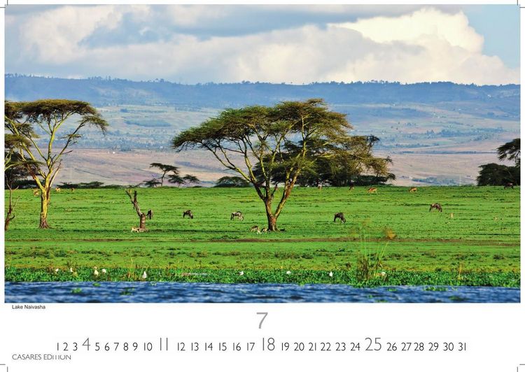 Produktbild: Kenia & Serengheti Kalender 2027 &ndash; Wandkalender | Fotokalender Afrika 35x50cm &ndash; Wundersch&ouml;ne Tierkalender- und Naturschutzfotos.