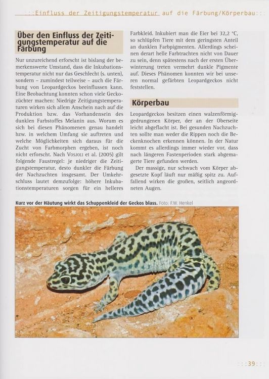 Produktbild: Leopardgeckos