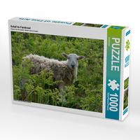 Produktbild: CALVENDO Puzzle Schaf im Farnkraut | 1000 Teile Lege-Gr&ouml;&szlig;e 64x48cm Foto-Puzzle f&uuml;r gl&uuml;ckliche Stunden
