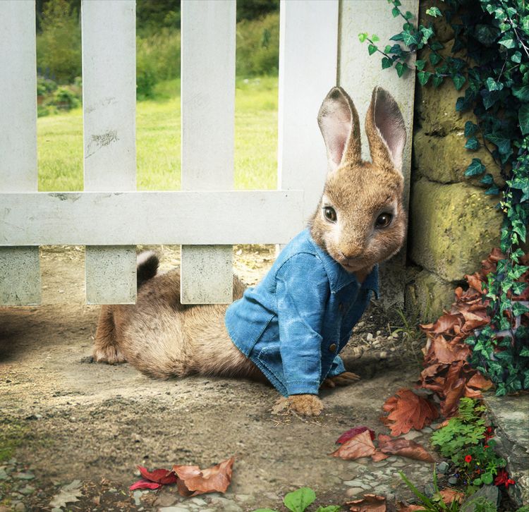 Produktbild: Peter Hase