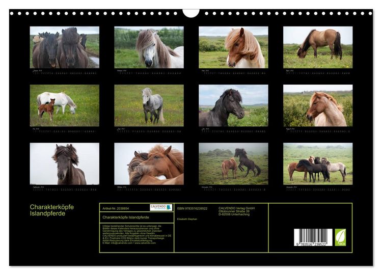 Produktbild: Charakterk&ouml;pfe Islandpferde (Wandkalender 2026 DIN A3 quer), CALVENDO Monatskalender