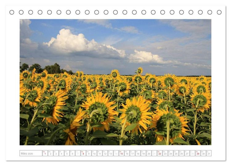 Produktbild: Sonnentage 2026 (Tischkalender 2026 DIN A5 quer), CALVENDO Monatskalender