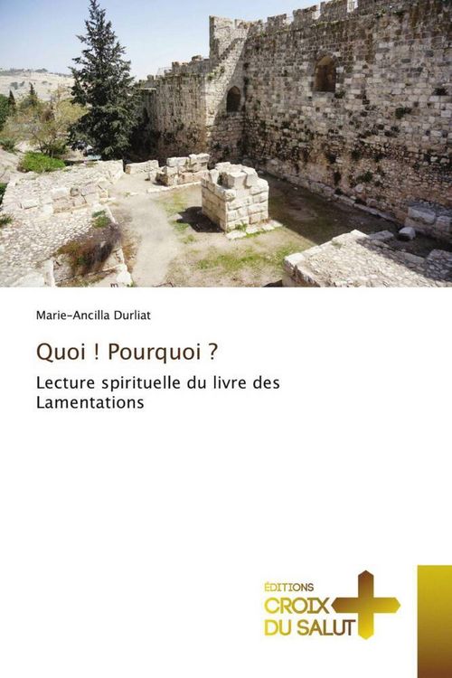 Produktbild: Quoi ! Pourquoi ?