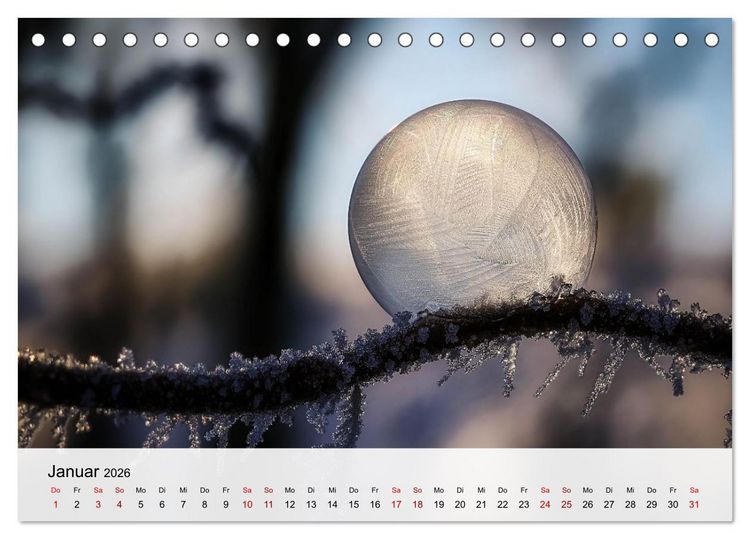 Produktbild: Verborgene Wunder (Tischkalender 2026 DIN A5 quer), CALVENDO Monatskalender