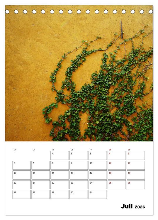 Produktbild: Mauerbl&uuml;mchen - Poesie im Allt&auml;glichen als Monatsplaner (Tischkalender 2026 DIN A5 hoch), CALVENDO Monatskalender